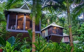 Daintree Eco Lodge